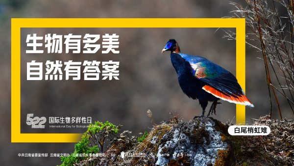 畫板 1 副本 6-100 畫板 1 副本 6-100