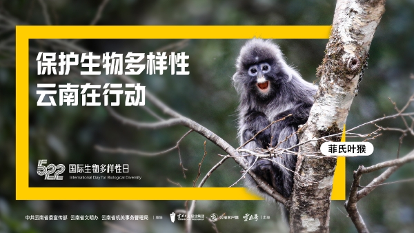 畫板 1 副本 7-100 畫板 1 副本 7-100