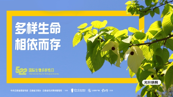 畫板 1 副本 8-100 畫板 1 副本 8-100