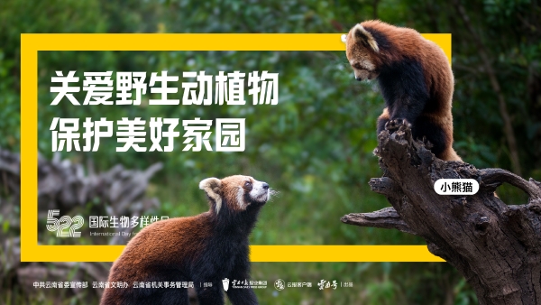 畫板 1 副本 9-100 畫板 1 副本 9-100