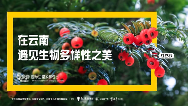 畫板 1 副本 10-100 畫板 1 副本 10-100