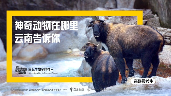 畫板 1 副本-100 畫板 1 副本-100