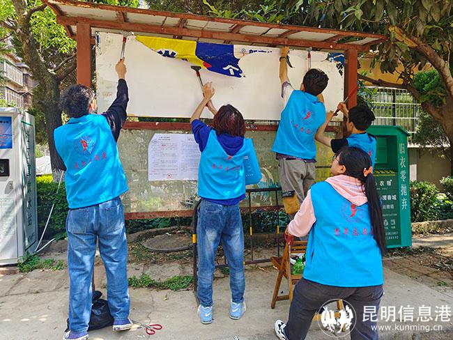 環(huán)境衛(wèi)生整治活動 環(huán)境衛(wèi)生整治活動