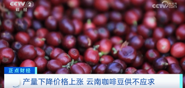 搶手貨！價(jià)格創(chuàng)新高，還供不應(yīng)求！還在樹(shù)上就被搶訂一空！怎么這么火？