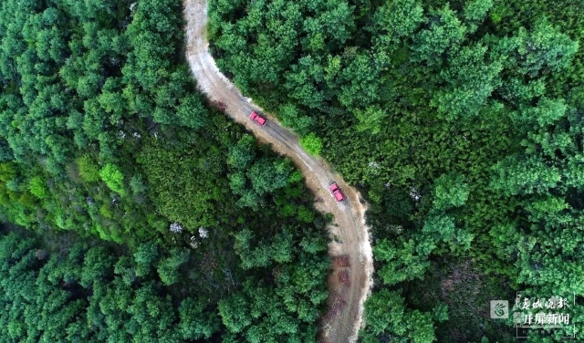 高黎貢山保山隆陽段首次清晰記錄到貢山羚?；顒?dòng)影像（春城晚報(bào)-開屏新聞?dòng)浾?崔敏 通訊員 莽紅升 金潤(rùn) 李家華 段賽勇 攝）