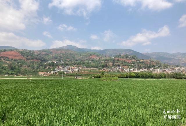 富民縣4月底將建成高標(biāo)準(zhǔn)農(nóng)田1.85萬畝 受益周邊農(nóng)戶達(dá)15000余人