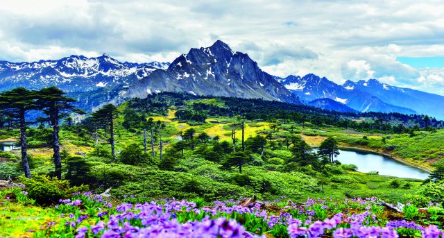 16、春到孔雀山- （貢德公路埡口）張軍攝.jpg