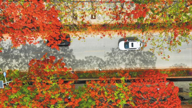 微信圖片_20230526091159 微信圖片_20230526091159