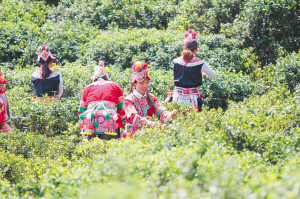 33071686072711997 33071686072711997