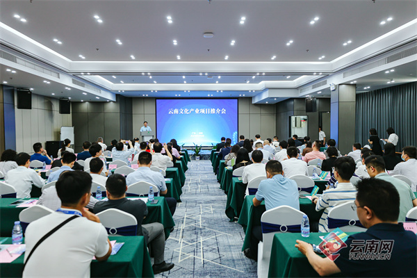 云南文化產(chǎn)業(yè)項目綻放“鵬城”3.jpg