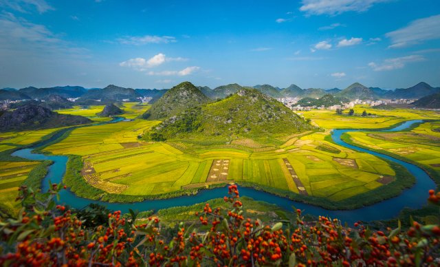 3. 林頌攝影《八寶貢米田園》.jpg