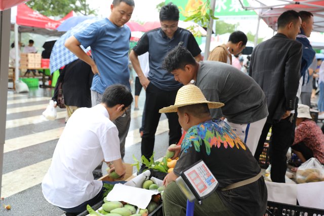 水果一條街游客紛紛把芒果帶回家6月10日攝.JPG