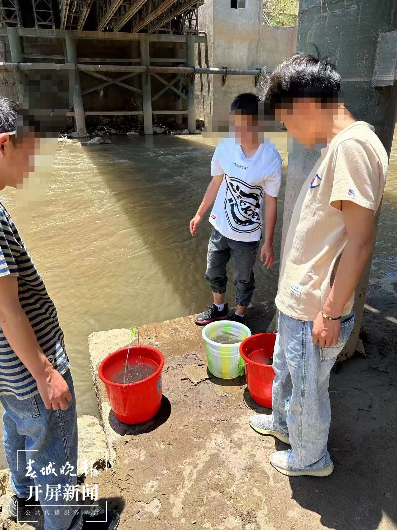 彝良3男子非法捕撈后主動(dòng)買(mǎi)魚(yú)苗“補(bǔ)過(guò)”3.jpg