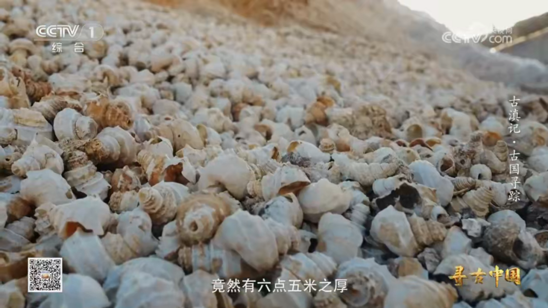 千年前的昆明人有多愛嗦螺螄？這有座“吃出來”的遺址