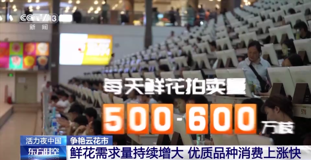 央視聚焦云南斗南花卉交易市場(chǎng)6.png
