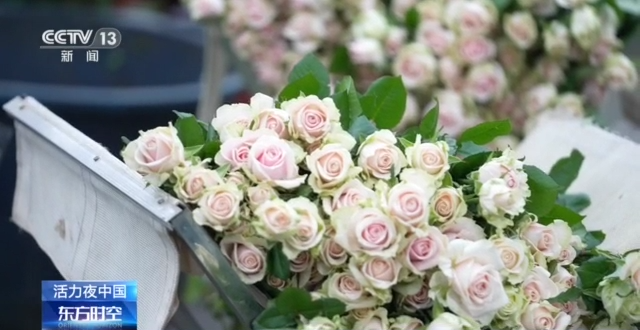 央視聚焦云南斗南花卉交易市場(chǎng)8.png