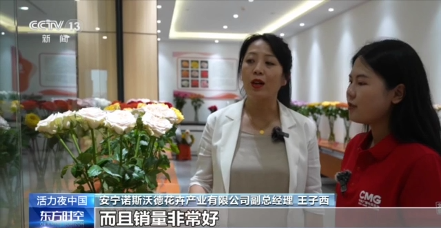 央視聚焦云南斗南花卉交易市場(chǎng)15.png