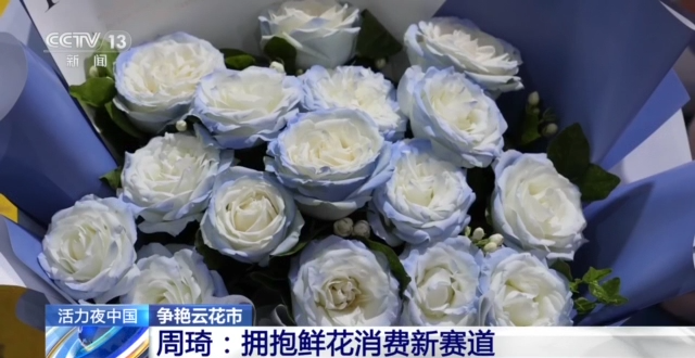 央視聚焦云南斗南花卉交易市場(chǎng)20.png