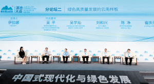 91381686940906913 91381686940906913