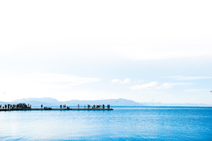 15741686940906913 15741686940906913