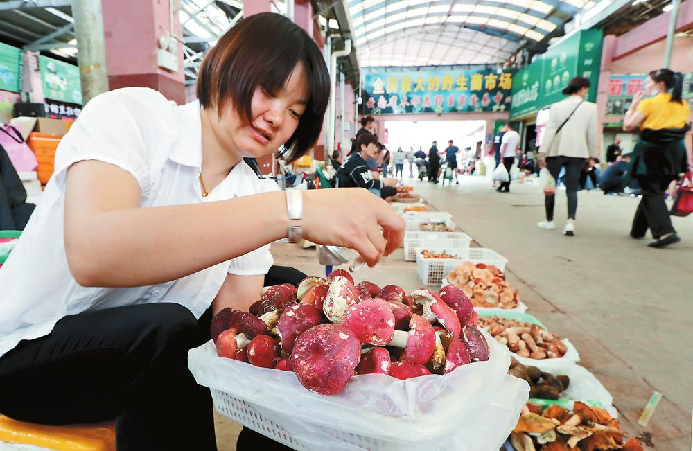 企業(yè)微信截圖_16871334693348 企業(yè)微信截圖_16871334693348