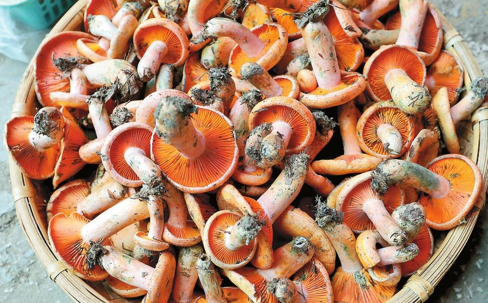 企業(yè)微信截圖_16871334789004 企業(yè)微信截圖_16871334789004