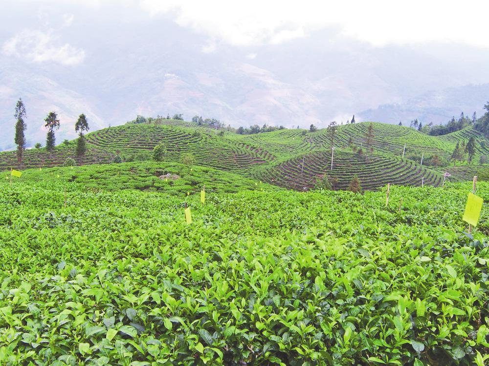 企業(yè)微信截圖_16871348709305