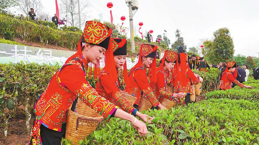 企業(yè)微信截圖_16871348741058