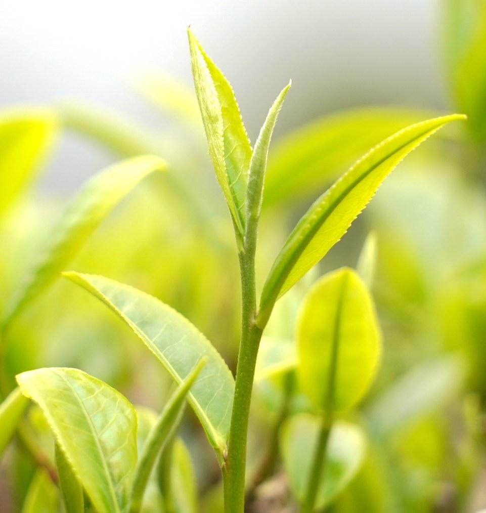 企業(yè)微信截圖_1687134882225