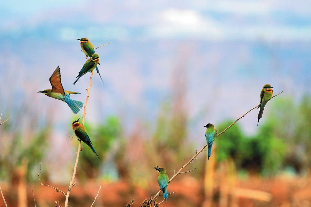 企業(yè)微信截圖_16872199572853 企業(yè)微信截圖_16872199572853