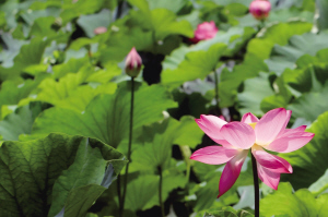 8201687284112298 8201687284112298