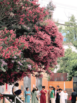 3021687284112303 3021687284112303