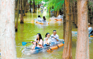 3811687543506580 3811687543506580