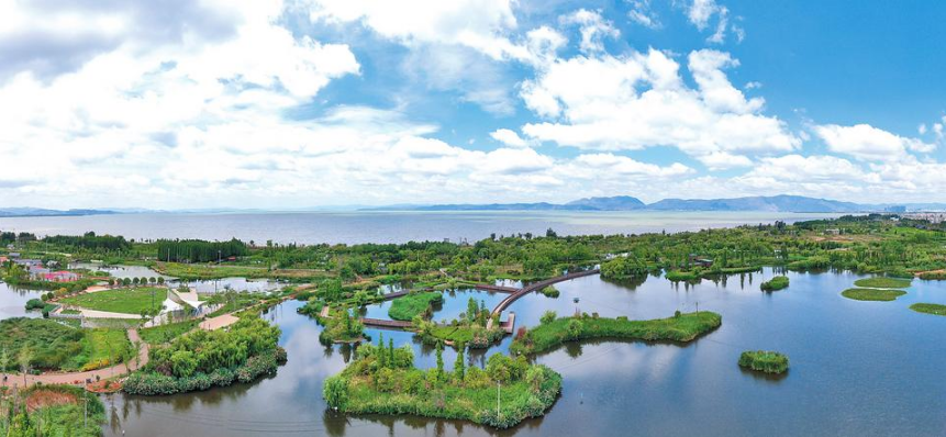 微信截圖_20230625080846