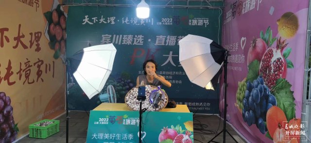 有一種叫云南的生活 人均水果產(chǎn)值超2萬元！2023云南·大理賓川葡萄文化旅游節(jié)啟幕（有視頻） (20).jpg