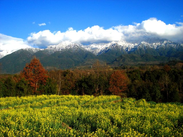 一山分四季 劉正凡攝.JPG