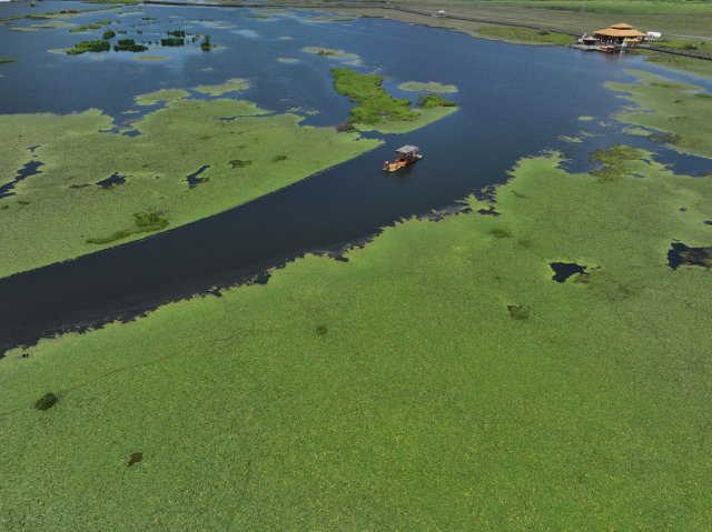 北海濕地航拍20230528劉正凡攝 (17).JPG