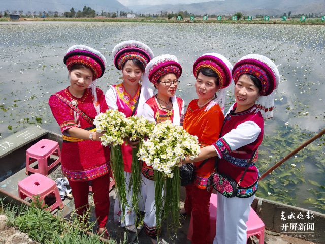 有一種叫云南的生活 面朝洱海，收海菜花嘍~（有視頻） (5).jpg
