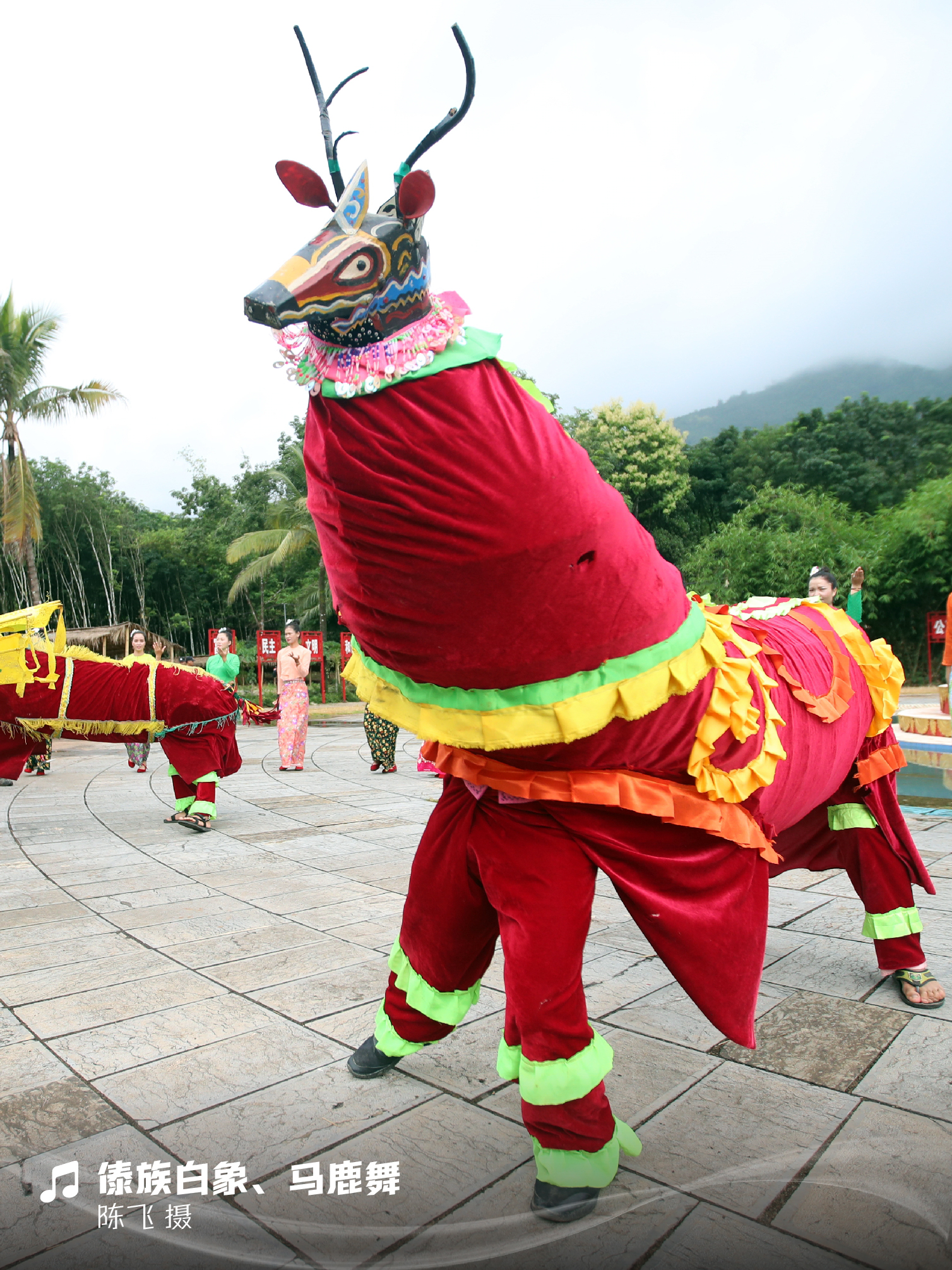 云南傳統(tǒng)舞蹈_畫板 1 副本 12.jpg