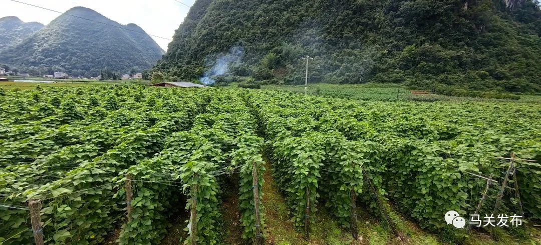 微信圖片_20230627110750.jpg 圖片