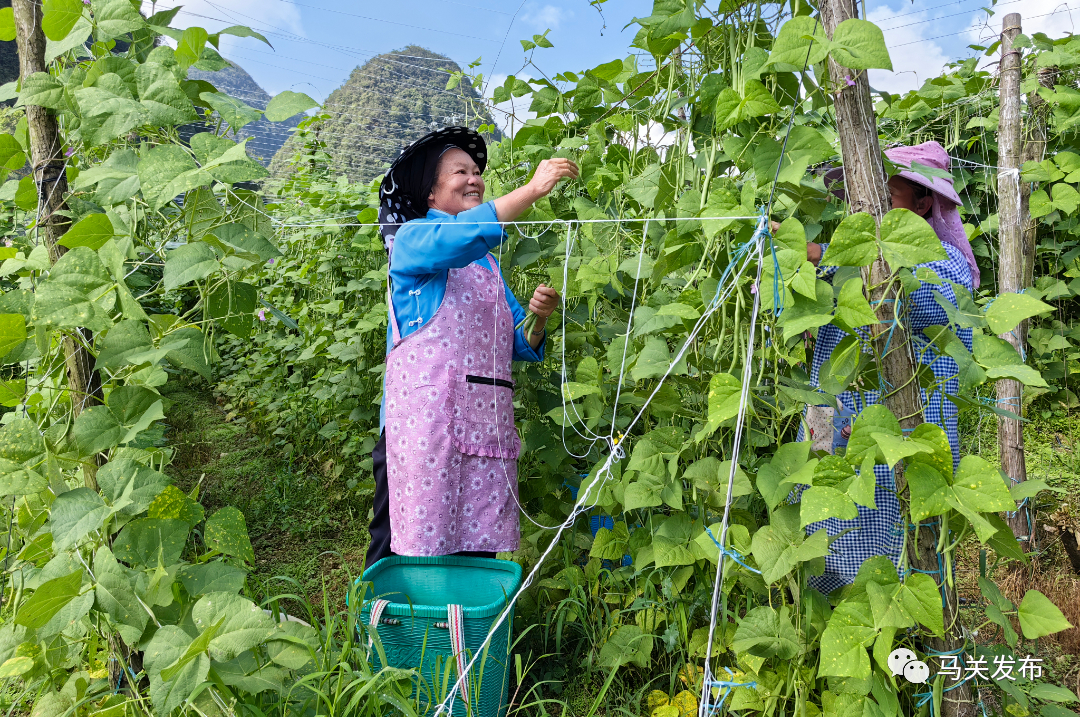 微信圖片_20230627110524.jpg 圖片