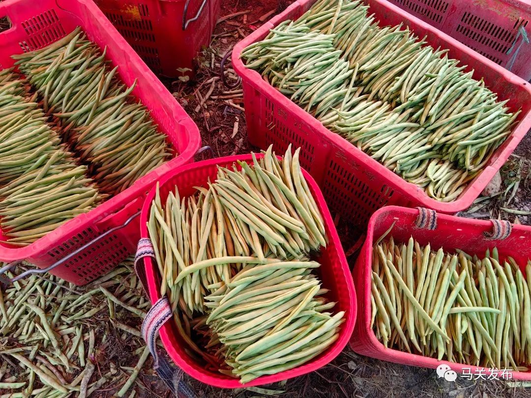 微信圖片_20230627110739.jpg 圖片