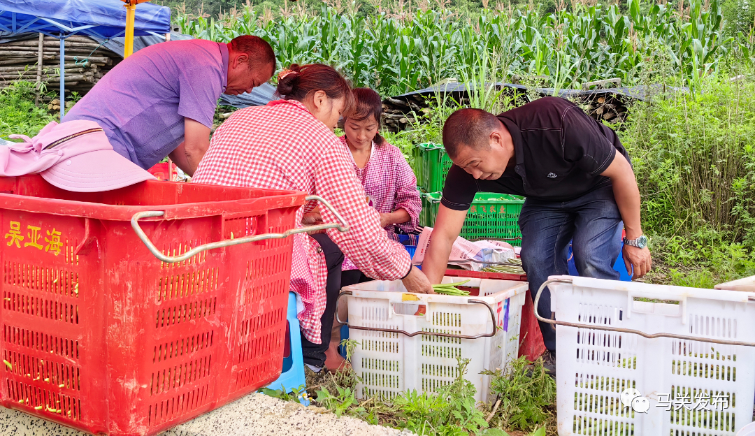 微信圖片_20230627110657.jpg 圖片