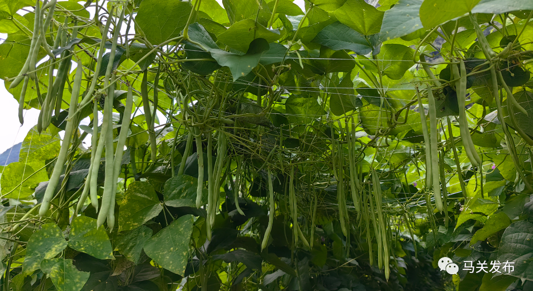 微信圖片_20230627110909.jpg 圖片