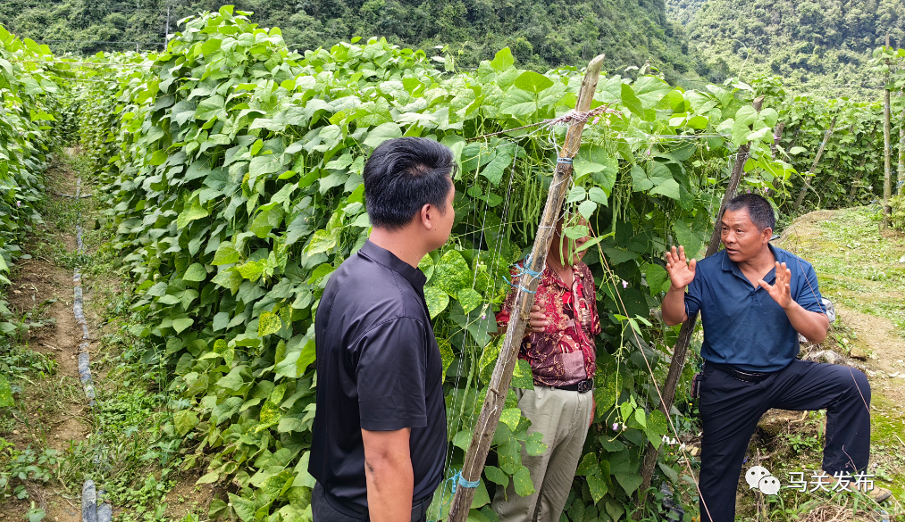 微信圖片_20230627110828.jpg 圖片