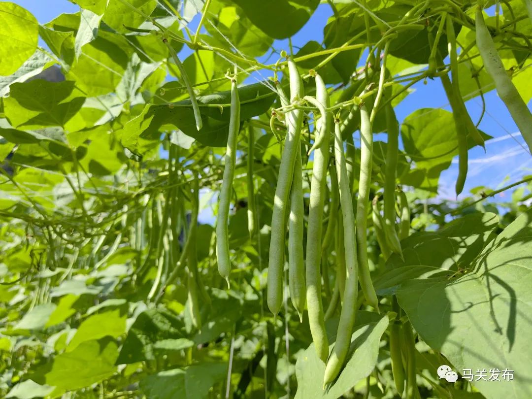 微信圖片_20230627110619.jpg 圖片