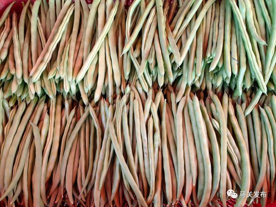 微信圖片_20230627110700.jpg 圖片