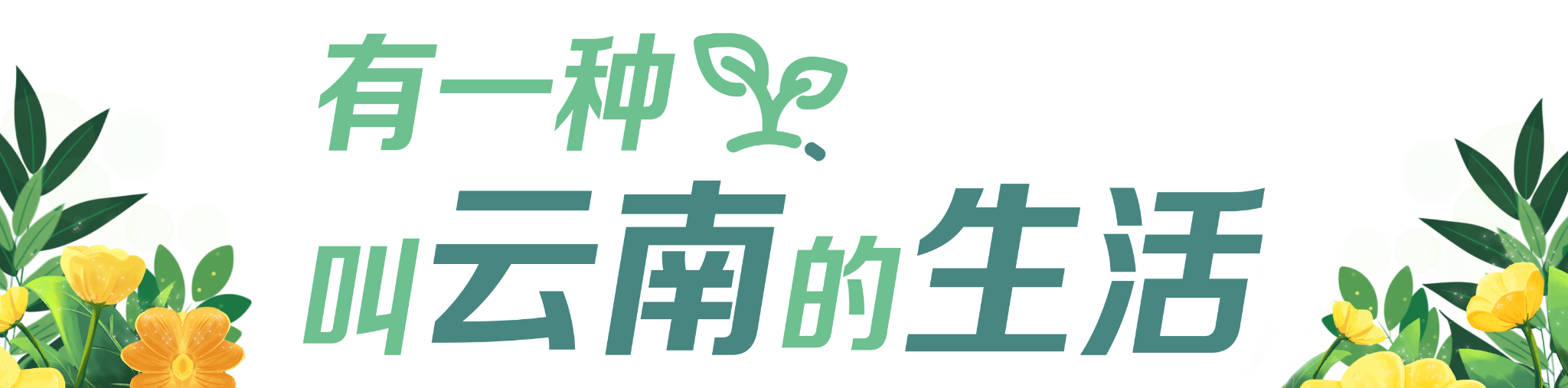 有一種叫云南的生活(欄題)