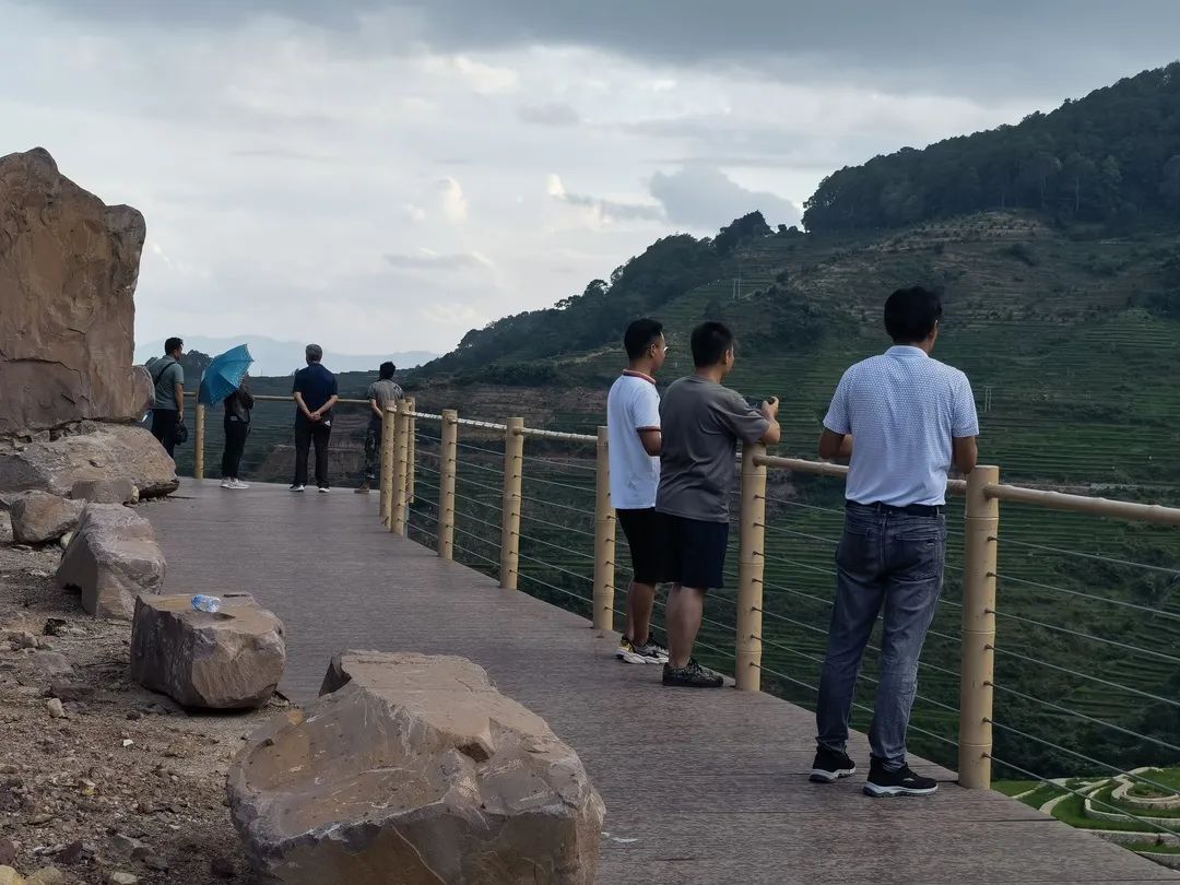 游客在觀景臺(tái)觀看稻田畫.jpg 圖片