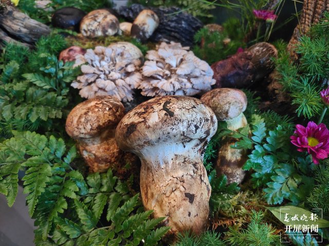 有一種叫云南的生活｜暑期旅游來云南，享“天生美食”（開屏新聞記者 孫江葒 攝）